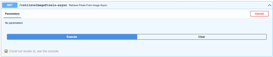 The /retrieveImagePixels-async endpoint fails with the message "Could not render xt, see the console” in the FastAPI documentation.