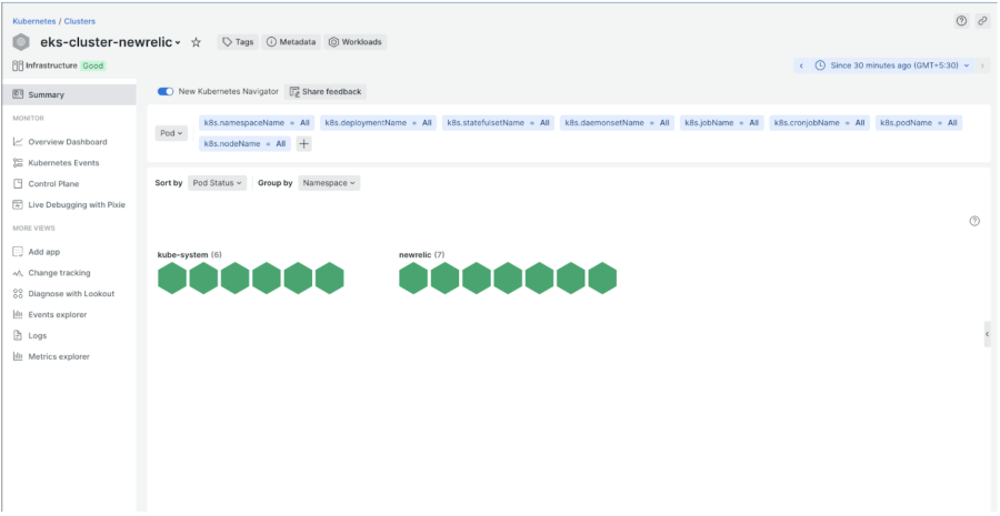 Darstellung in New Relic nach Anwenden der CRD