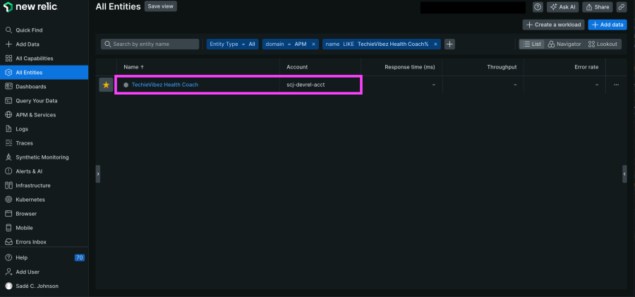 Screenshot of application listed in the All Entities view of the platform