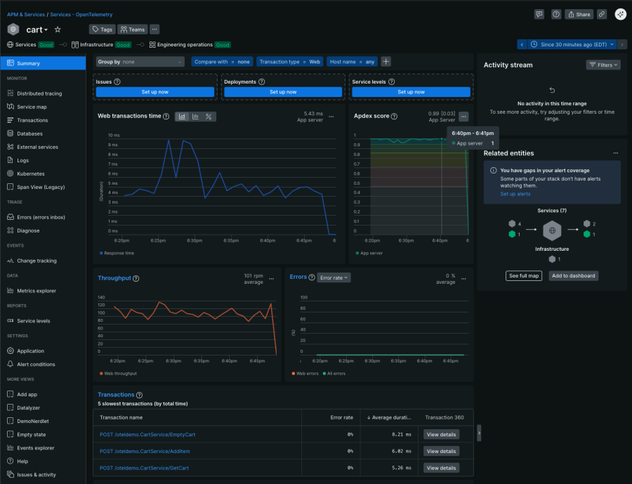 New Relic APM