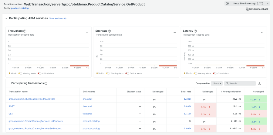 Participating APM services and transaction  view