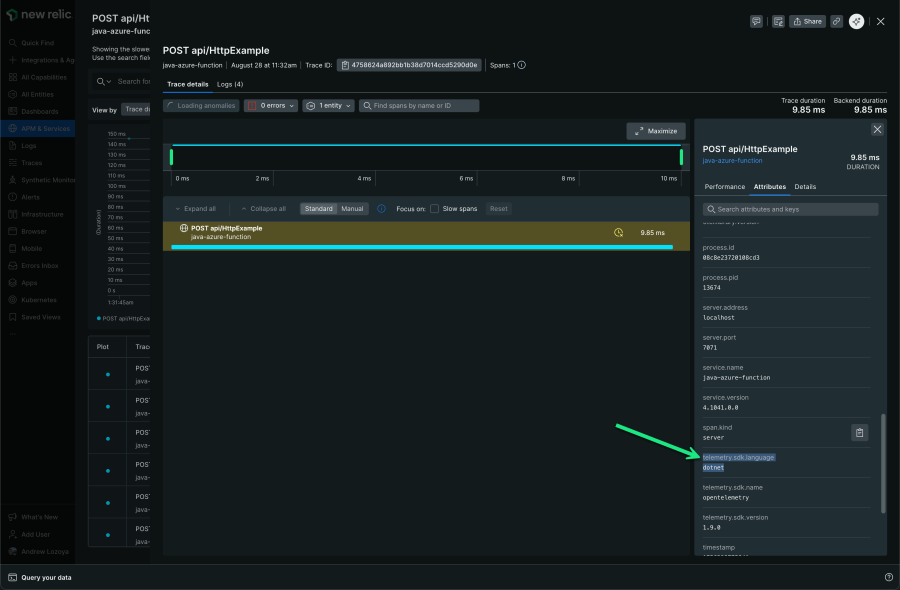 Trace details within the New Relic UI