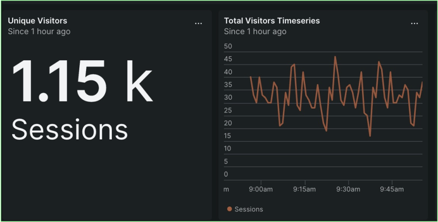 Website visitor analytics within the New Relic UI.