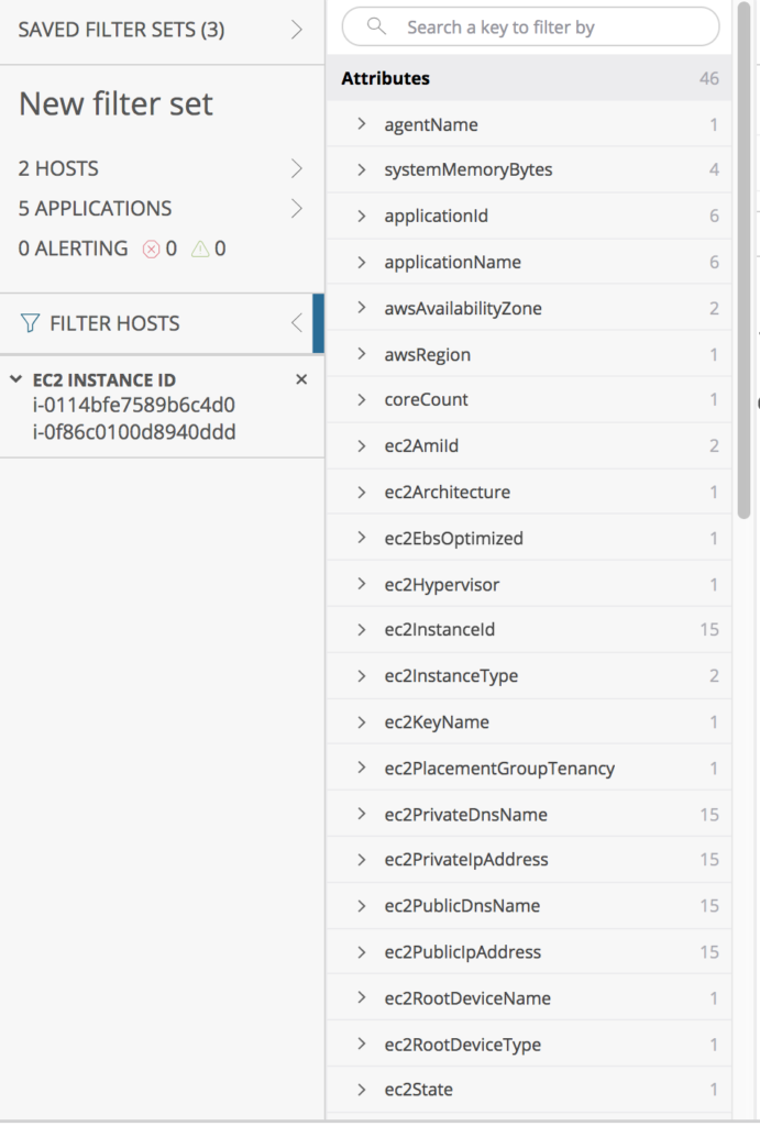Screenshot showing filter creation in New Relic Infrastructure