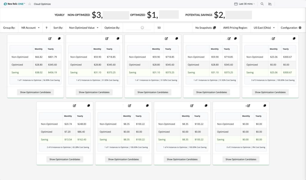 A New Relic One application: cloud optimize